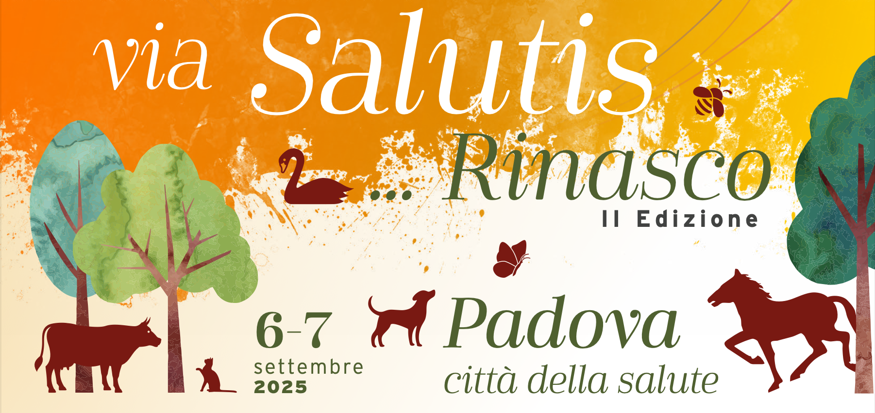 Screenshot 2025-08-05 alle 12.21.13