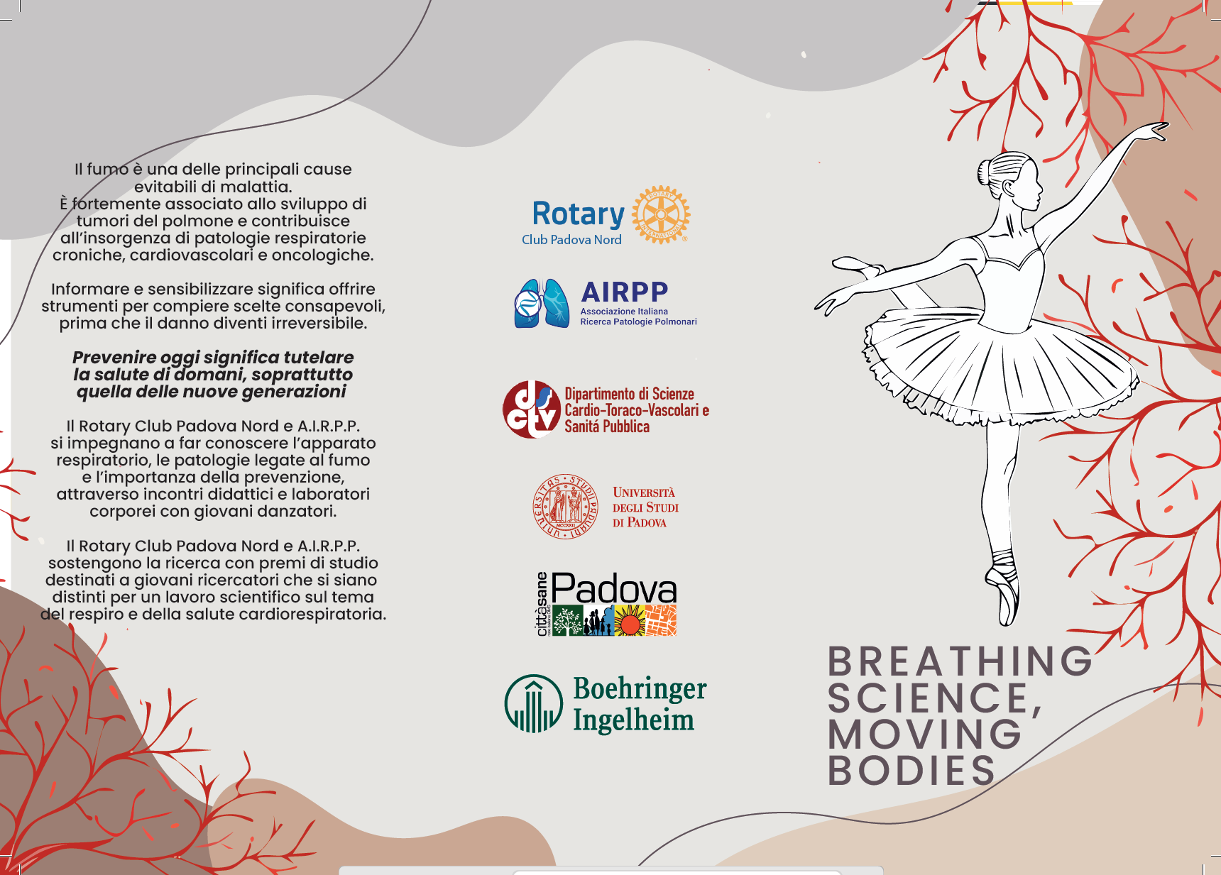 Screenshot 2026-03-04 130306